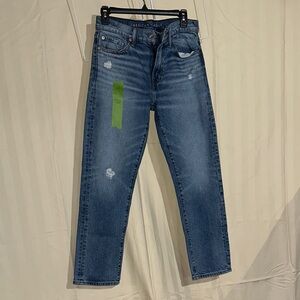 American Eagle Outfitters Blue Straight Jeans